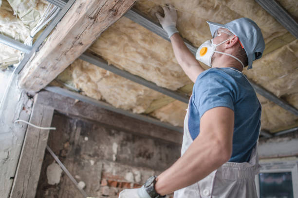 Best DIY Insulation Kits and Guidance in Remsenburg Speonk, NY