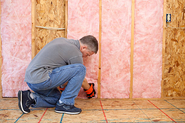 Best Eco-Friendly Insulation in Remsenburg Speonk, NY